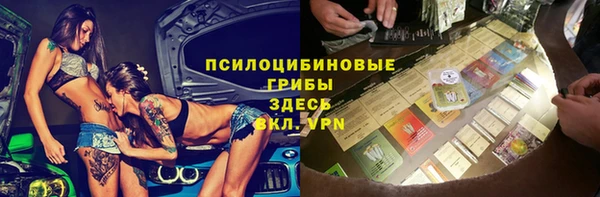 винт Алзамай